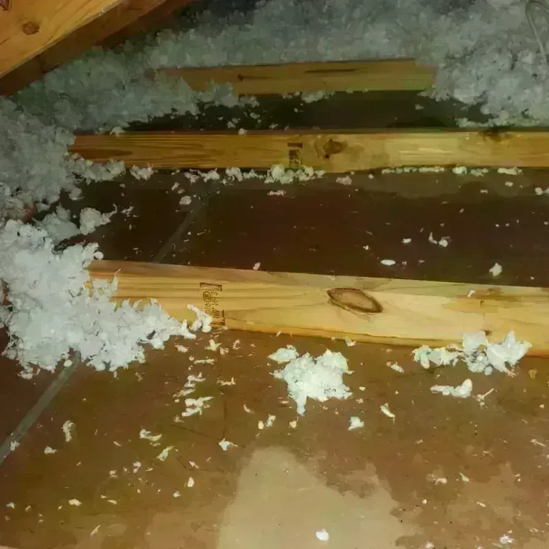 Attic Water Damage in Blakely, PA